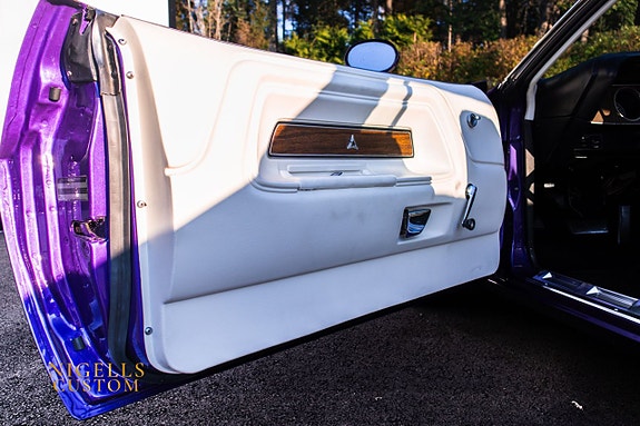 Dodge Challenger 25 of 27