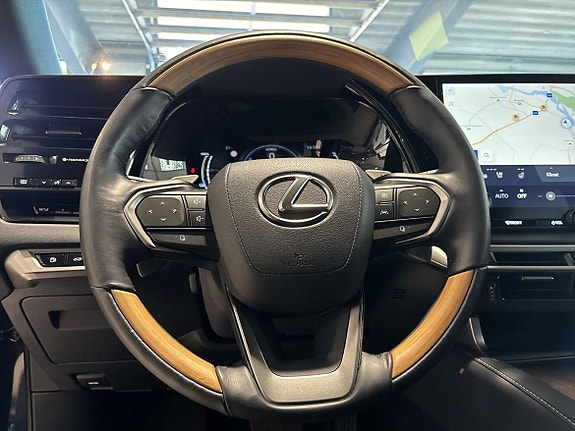 Lexus RX450h 19 of 30