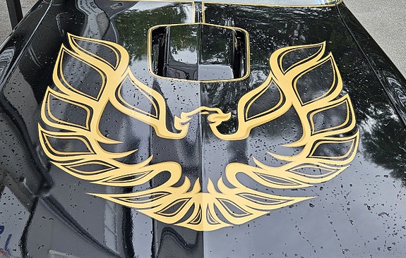 Pontiac Firebird 3 of 5