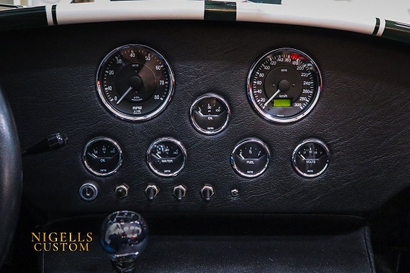 AC Cobra 18 of 20