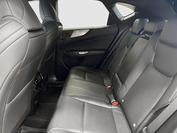 Lexus NX350h 15 of 19
