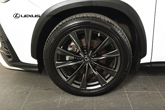 Lexus NX350h 19 of 20