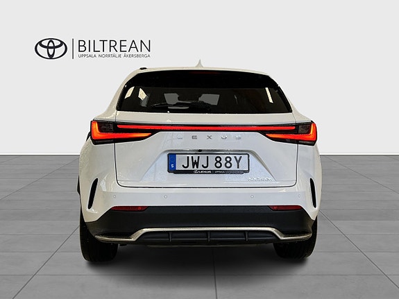 Lexus NX350h 4 of 19