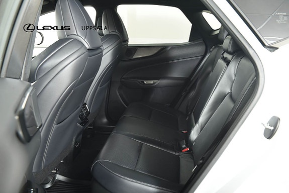 Lexus NX350h 7 of 20