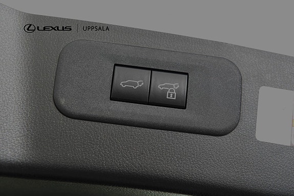 Lexus NX350h 10 of 20