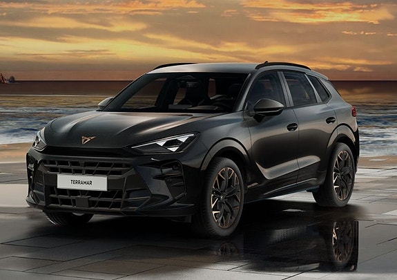 Cupra Terramar 3 of 5