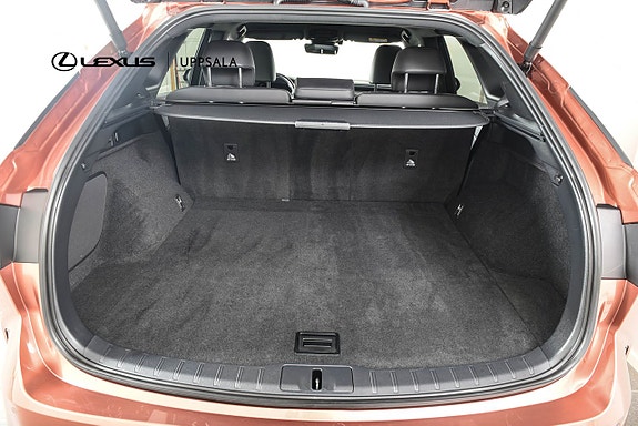 Lexus RX450h+ 7 of 18