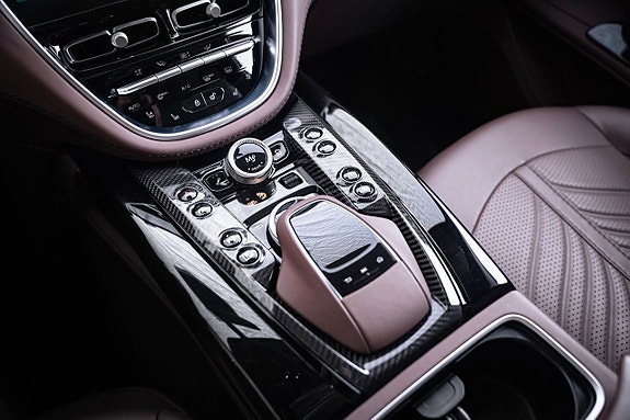 Aston Martin DBX 15 of 19