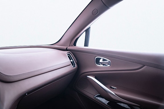 Aston Martin DBX 19 of 19