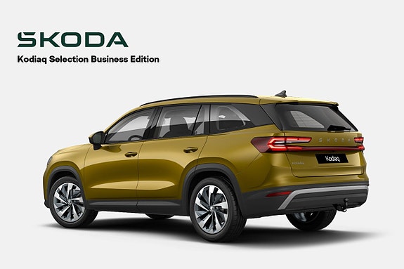 Skoda Kodiaq 3 of 3