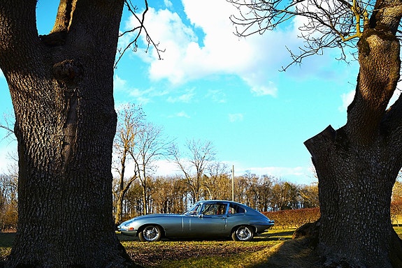 Jaguar E-TYPE 15 of 30