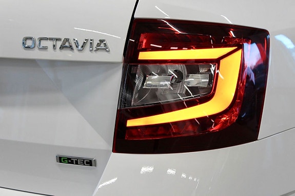 Skoda Octavia 7 of 17