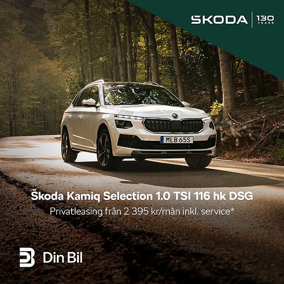 Skoda Kamiq 4 of 4