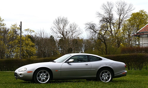 Jaguar XK 6 of 30