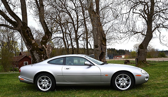 Jaguar XK 3 of 5