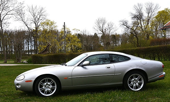 Jaguar XK