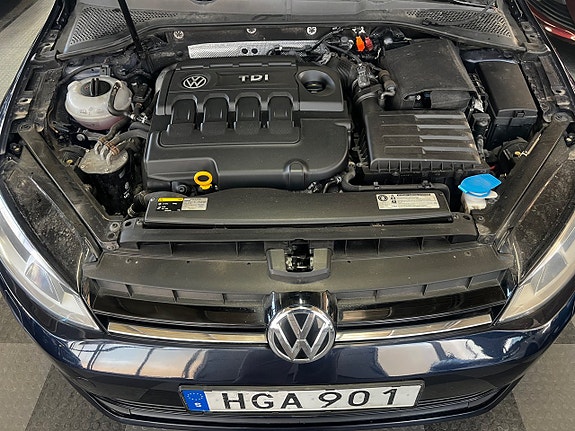 Volkswagen Golf VII 15 of 16