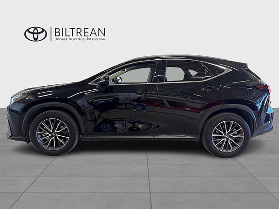 Lexus NX450h+ 3 of 5