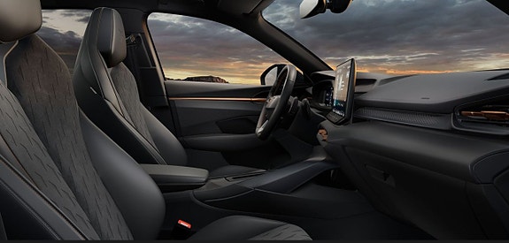 Cupra Terramar 4 of 4