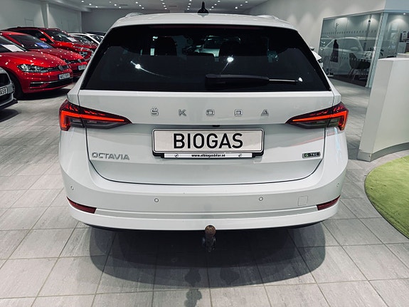 Skoda Octavia 6 of 14