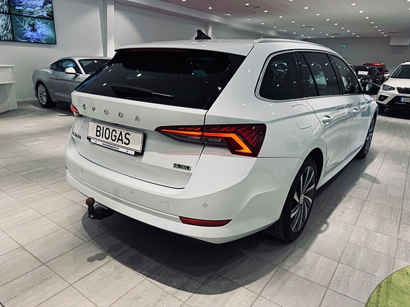 Skoda Octavia 8 of 14