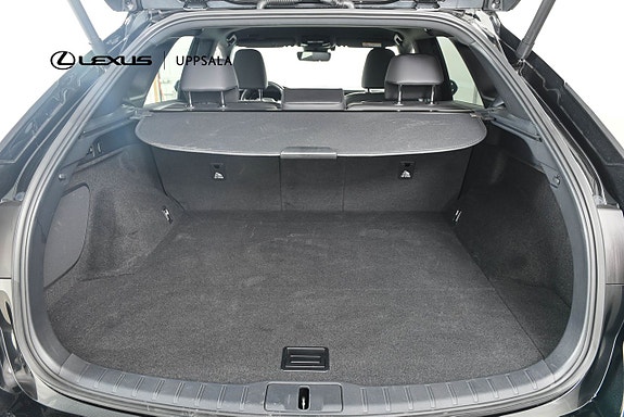 Lexus RX350h 9 of 17