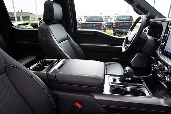 Ford F-150 21 of 25