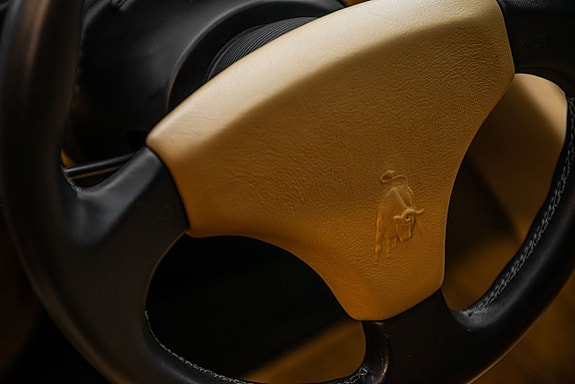 Lamborghini Diablo 20 of 30
