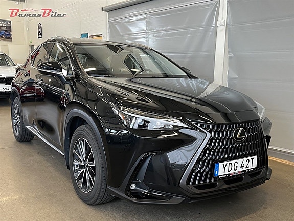 Lexus NX450h 7 of 25