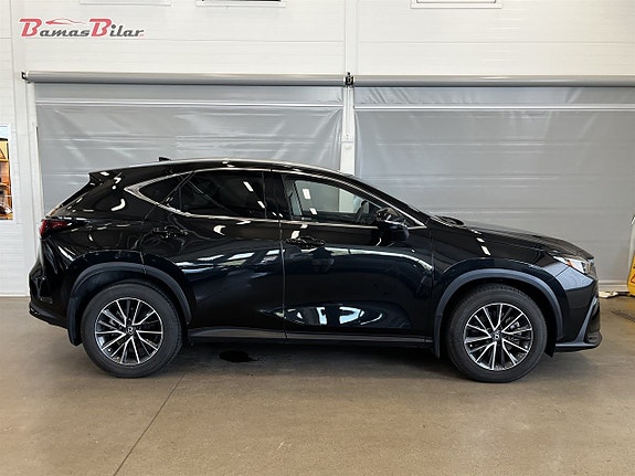 Lexus NX450h 6 of 25