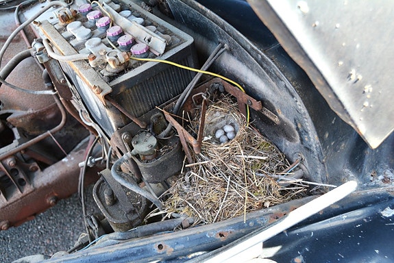 BMW 501 30 of 30