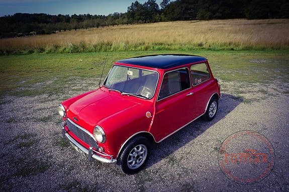 Austin Mini