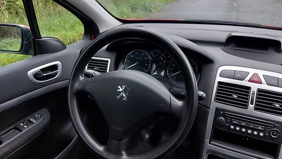 Peugeot 307 13 of 16