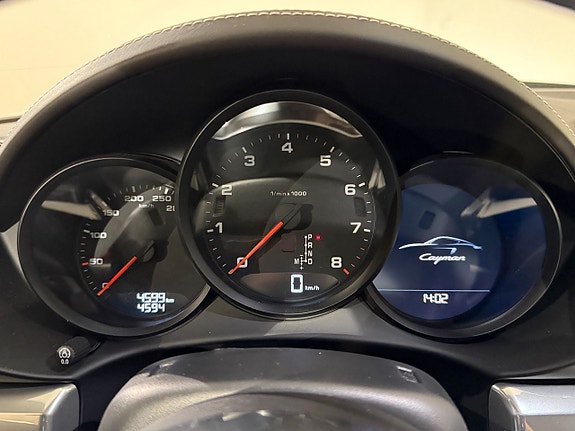 Porsche Cayman 18 of 22