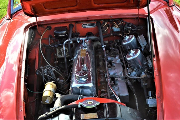Austin Healey 100 22 of 30