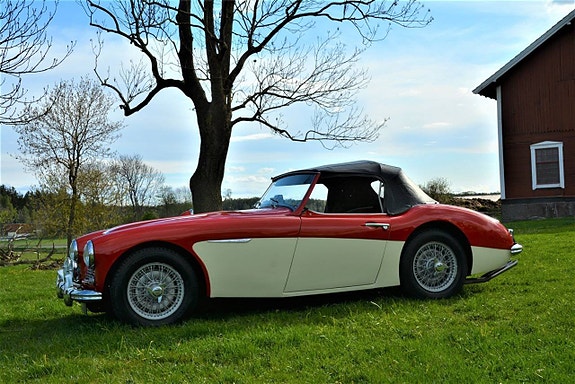 Austin Healey 100 9 of 30