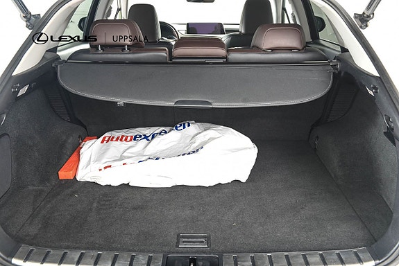 Lexus RX450h 9 of 23