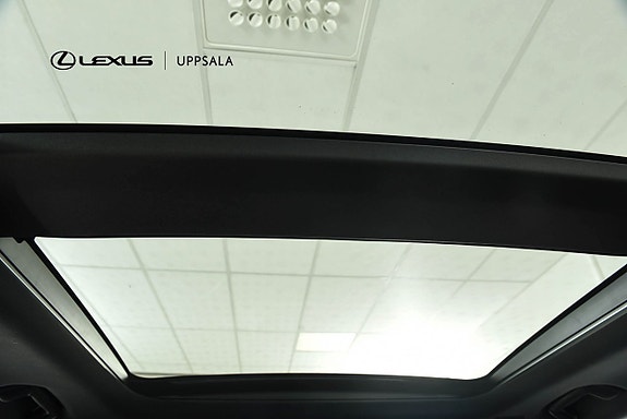 Lexus RX450h+ 9 of 23