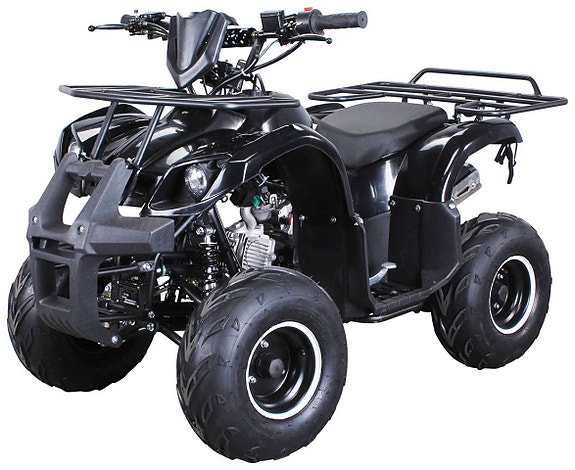 Övriga MIDI SIZE 125cc FYRHJULING WORKER, FÖR BARN och vuxen 2 of 2