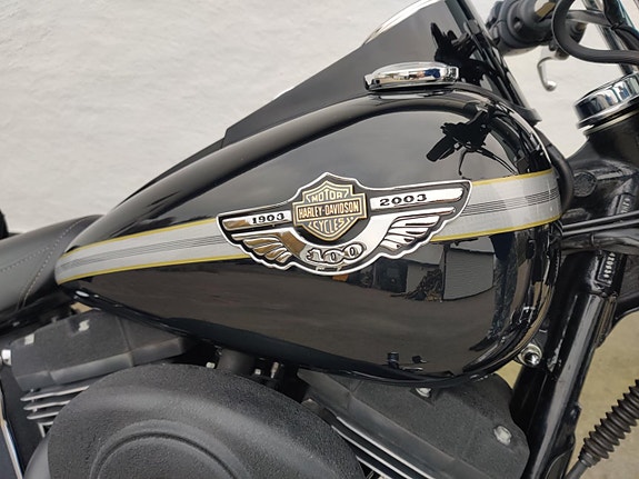 Harley-Davidson Night Train FXSTBI 100th Anniversary 7 of 15
