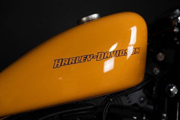 Harley-Davidson XL883N IRON Cafè Racer Roland Sands Design 15 of 18