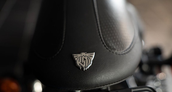 Harley-Davidson XL883N IRON Cafè Racer Roland Sands Design 14 of 18