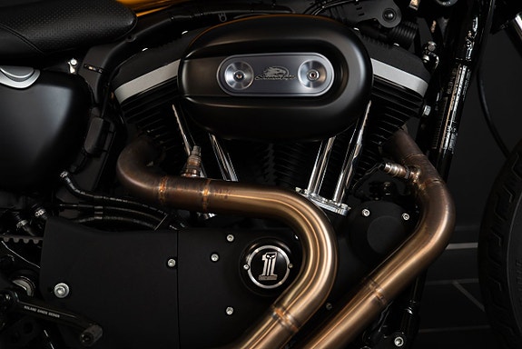 Harley-Davidson XL883N IRON Cafè Racer Roland Sands Design 7 of 18