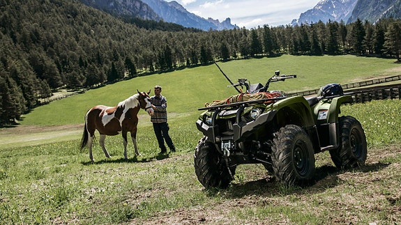Yamaha Kodiak 450 EPS 4 of 4