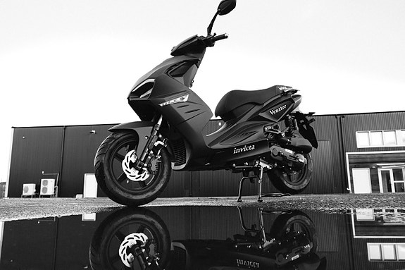 Invicta Venator (Säsongskampanj)