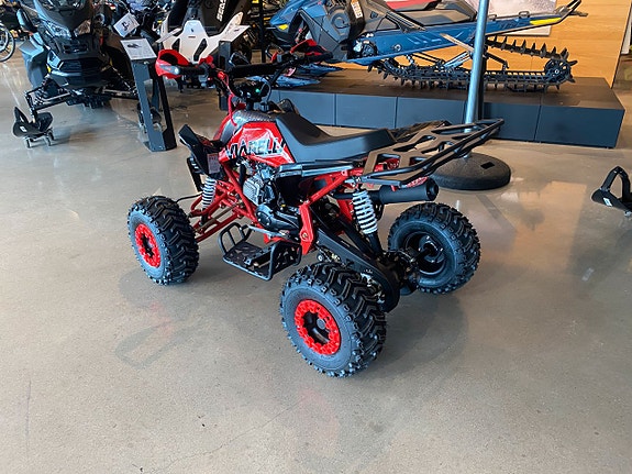 Viarelli Agrezza  110cc 4 of 4