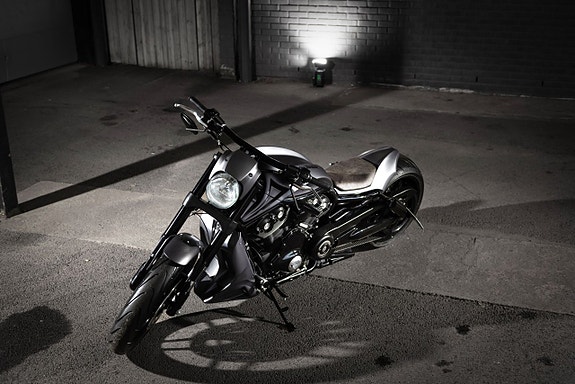 Harley-Davidson VRSCDX Night Rod Special Custom EXTREM 6 of 15