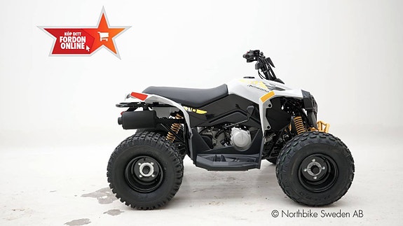 Can-Am Renegade 110 EFI