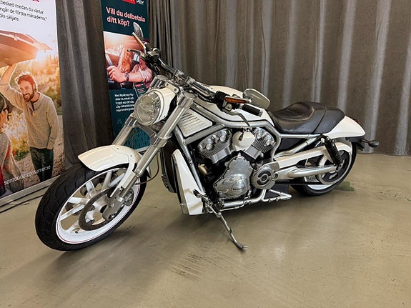 Harley-Davidson VRSCR