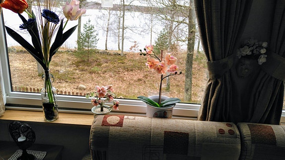 ABI Narelle en Villavagn med Sjöutsikt över Osby sjön 19 of 20